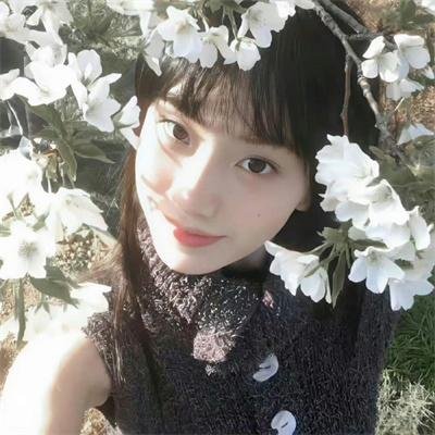 惊悚诡计